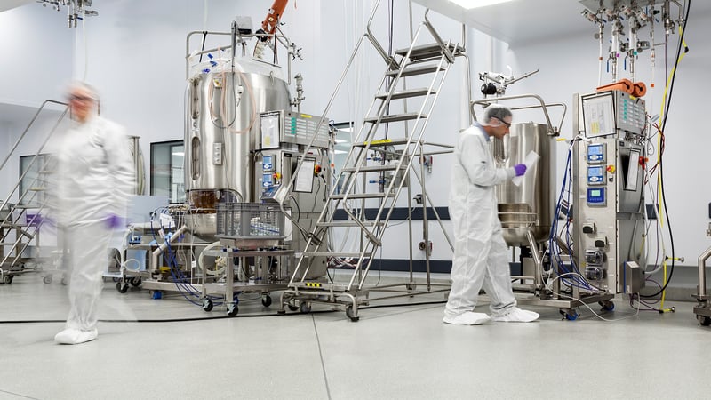 IPS-Clinical Phage Production-Services